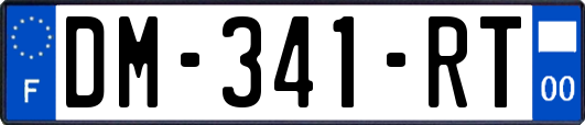 DM-341-RT