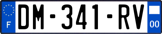 DM-341-RV