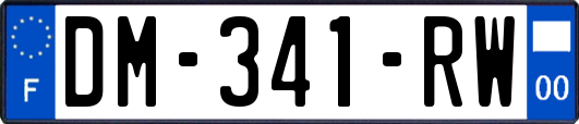 DM-341-RW