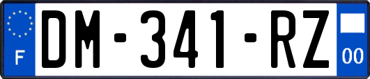 DM-341-RZ