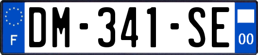 DM-341-SE