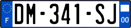DM-341-SJ