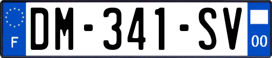 DM-341-SV