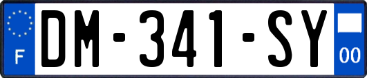 DM-341-SY