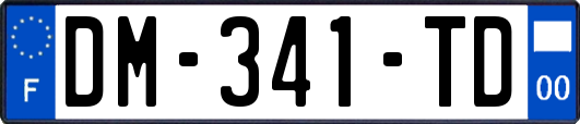 DM-341-TD