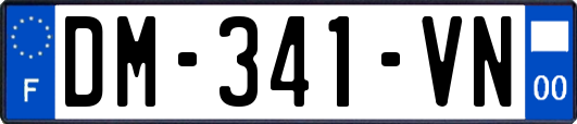 DM-341-VN