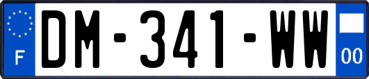 DM-341-WW