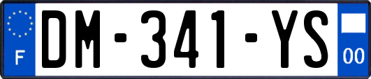 DM-341-YS