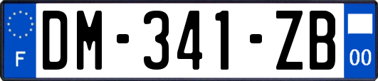 DM-341-ZB