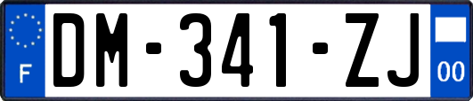 DM-341-ZJ