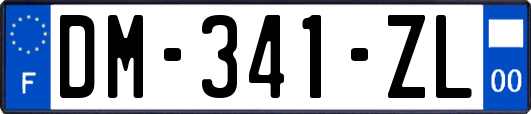 DM-341-ZL