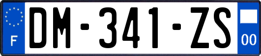 DM-341-ZS