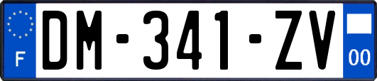 DM-341-ZV