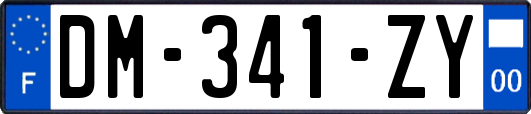 DM-341-ZY