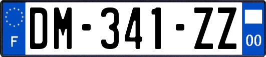 DM-341-ZZ