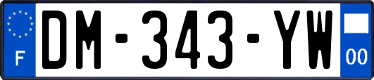 DM-343-YW