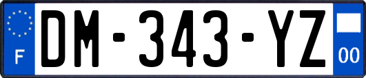 DM-343-YZ