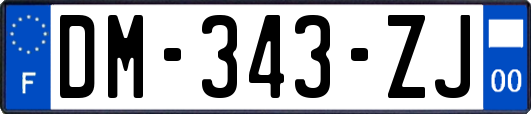 DM-343-ZJ