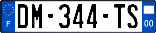 DM-344-TS