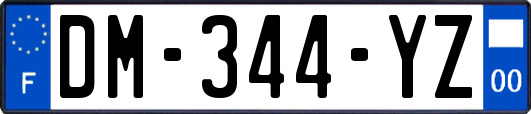 DM-344-YZ