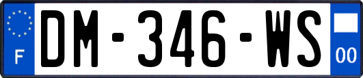 DM-346-WS