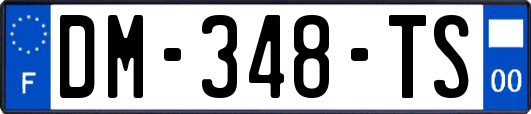 DM-348-TS