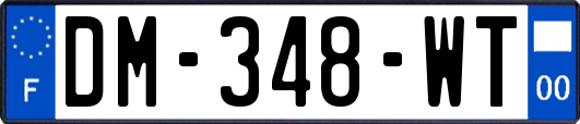 DM-348-WT