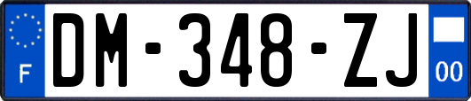 DM-348-ZJ