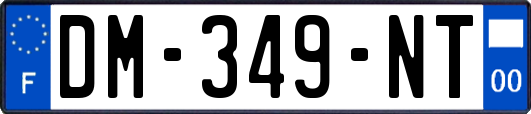 DM-349-NT