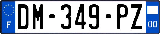 DM-349-PZ