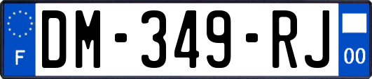 DM-349-RJ