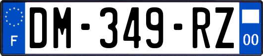 DM-349-RZ