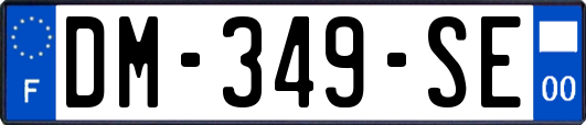 DM-349-SE