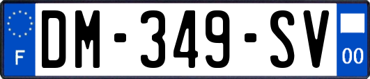 DM-349-SV