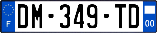 DM-349-TD