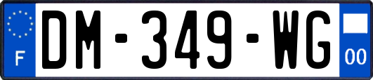 DM-349-WG