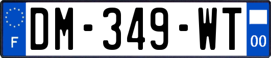 DM-349-WT