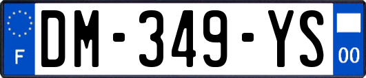 DM-349-YS