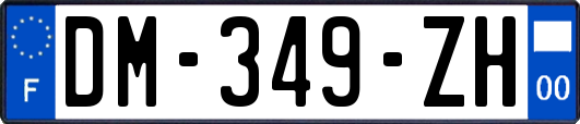 DM-349-ZH