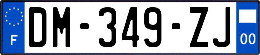 DM-349-ZJ