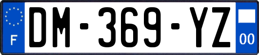 DM-369-YZ