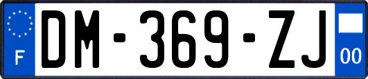 DM-369-ZJ