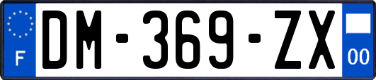 DM-369-ZX