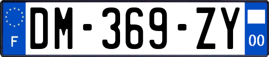 DM-369-ZY