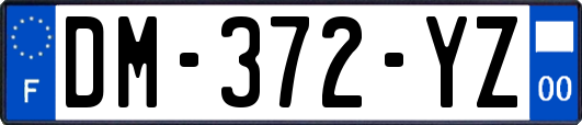 DM-372-YZ