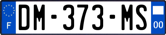 DM-373-MS