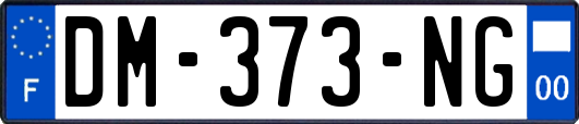 DM-373-NG