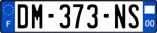 DM-373-NS