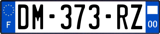 DM-373-RZ