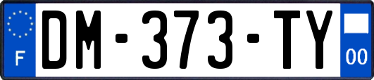 DM-373-TY